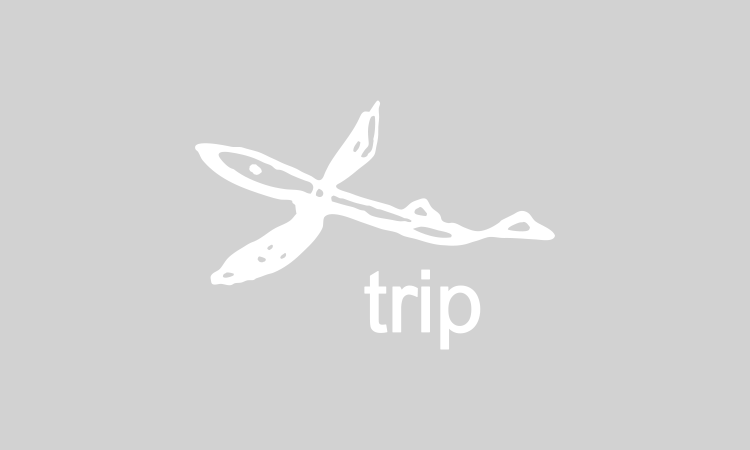 trip